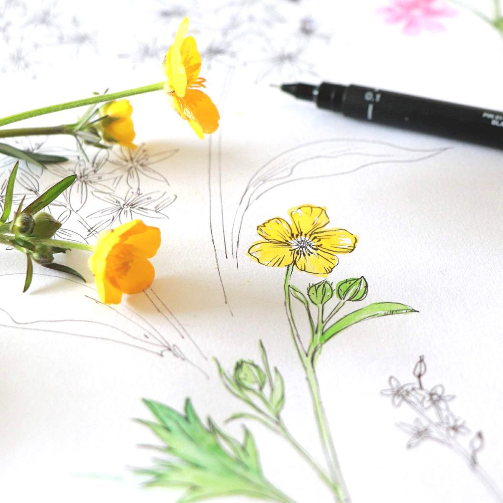 Seed Home Designs fabrics and wallpapers, bespoke curtains and textile designer